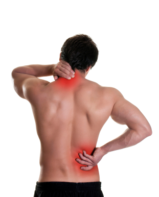 iStock_000018315512XSmall